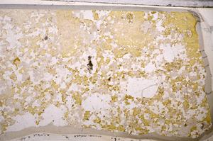 Plane Polarized, E49679/A