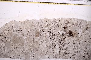 Plane Polarized, E49696/A