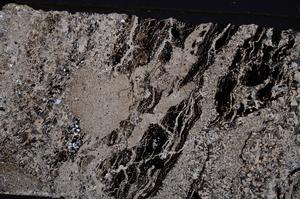 Cross Polarized, E49696/B