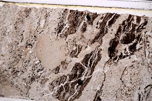 Plane Polarized, E49696/B