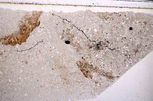 Plane Polarized, E49696/C