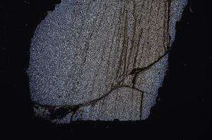 Cross Polarized, E49701