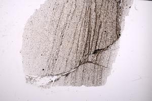 Plane Polarized, E49701