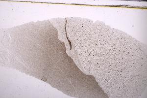 Plane Polarized, E49702