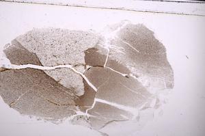 Plane Polarized, E49707