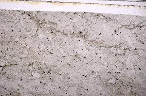 Plane Polarized, E49723