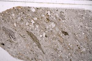 Plane Polarized, E49724/B