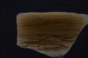 Cross Polarized, E49750