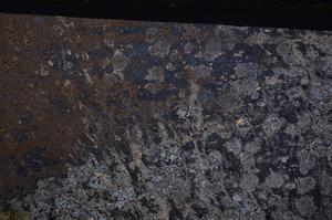 Cross Polarized, E49783