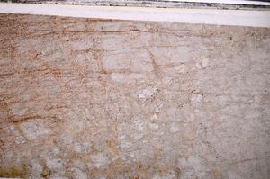 Plane Polarized, E49783