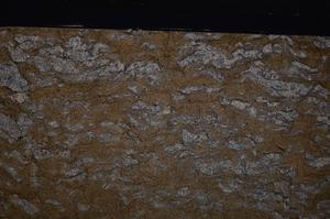 Cross Polarized, E49786