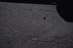 Cross Polarized, E49793