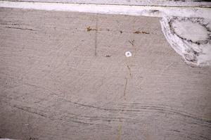 Plane Polarized, E49793