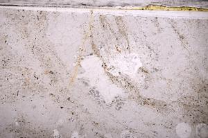 Plane Polarized, E49795