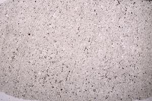 Plane Polarized, E49844