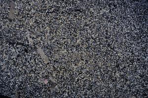 Cross Polarized, E49877