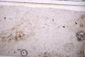 Plane Polarized, E49880