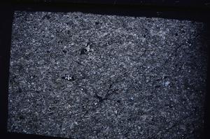 Cross Polarized, E49883