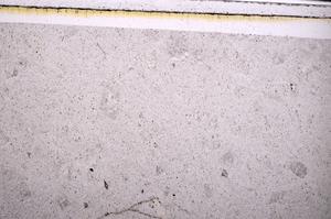 Plane Polarized, E49887