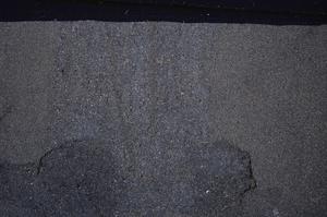 Cross Polarized, E49890