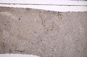 Plane Polarized, E49893