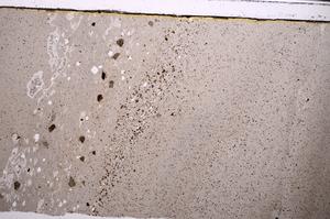 Plane Polarized, E49894