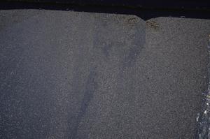 Cross Polarized, E49895