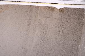Plane Polarized, E49895