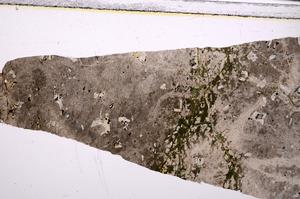 Plane Polarized, E49922