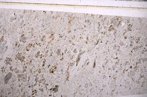 Plane Polarized, E49928