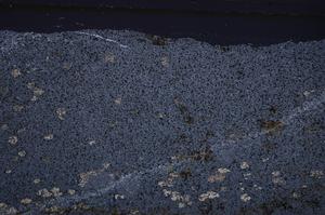 Cross Polarized, E49929