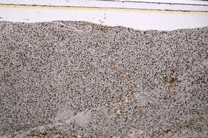 Plane Polarized, E49929