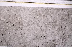 Plane Polarized, E49936