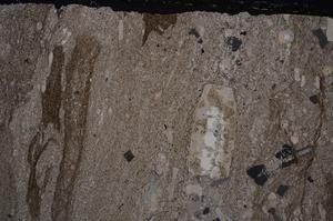 Cross Polarized, E49944