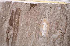 Plane Polarized, E49944