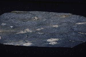 Cross Polarized, E49959