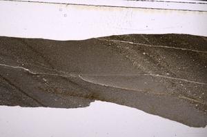 Plane Polarized, E50036