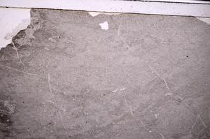 Plane Polarized, E50131