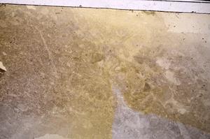 Plane Polarized, E50134