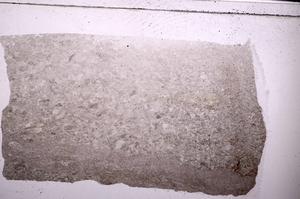 Plane Polarized, E50135
