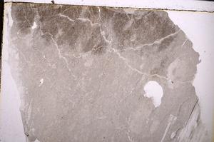 Plane Polarized, E50137