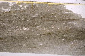 Plane Polarized, E50159