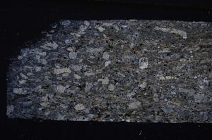 Cross Polarized, E50175