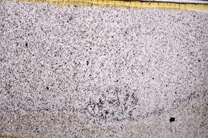 Plane Polarized, E50280