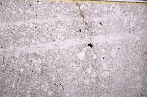 Plane Polarized, E50281