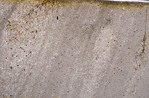 Plane Polarized, E50282