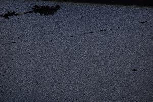 Cross Polarized, E50289