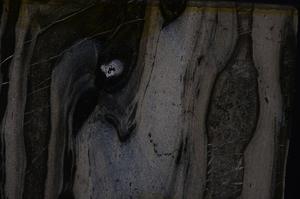 Cross Polarized, E50290