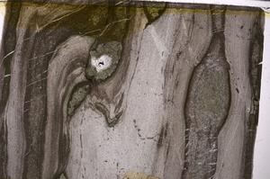 Plane Polarized, E50290