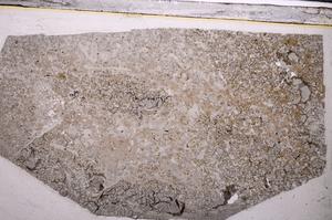 Plane Polarized, E50405